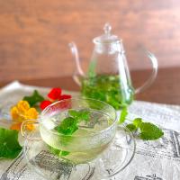 爽やか♡フレッシュグリーンハーブのお楽しみレシピ♪