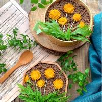 春♡お弁当箱にお花が咲き始めました♪