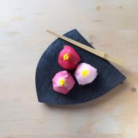 花咲く「手まり寿司」が千変万化！【SnapDish × hue：春の美味しい料理写真教室♪】実施レポート