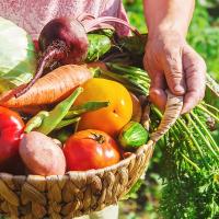 【A】自分も地球もうれしい食材