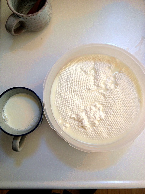 材料2つで簡単 牛乳豆腐 の作り方 活用レシピ6選 Macaroni