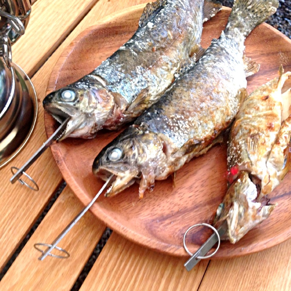 人気の川魚「ニジマス」の特徴。おいしい食べ方におすすめレシピまで