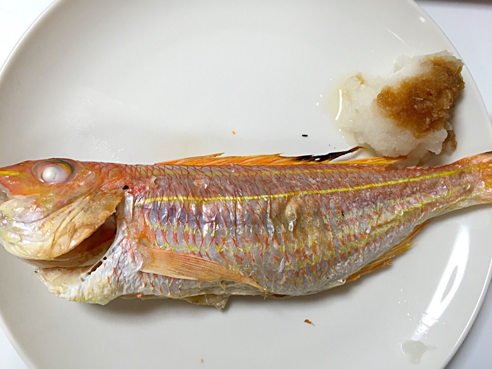 産地や旬の時期は 高級白身魚 イトヨリダイ のおいしい特徴を解説 Macaroni