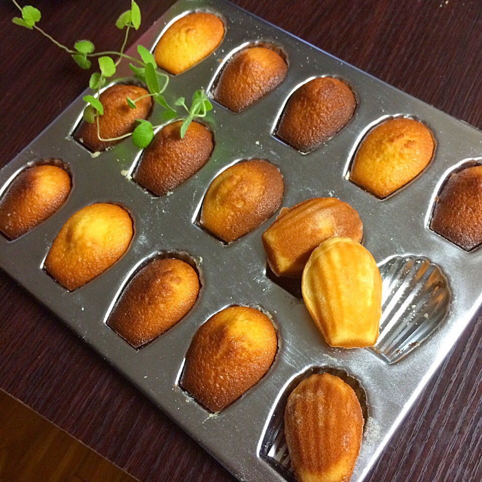 マドレーヌの焼き型おすすめ10選 形と素材で使い分けよう Macaroni
