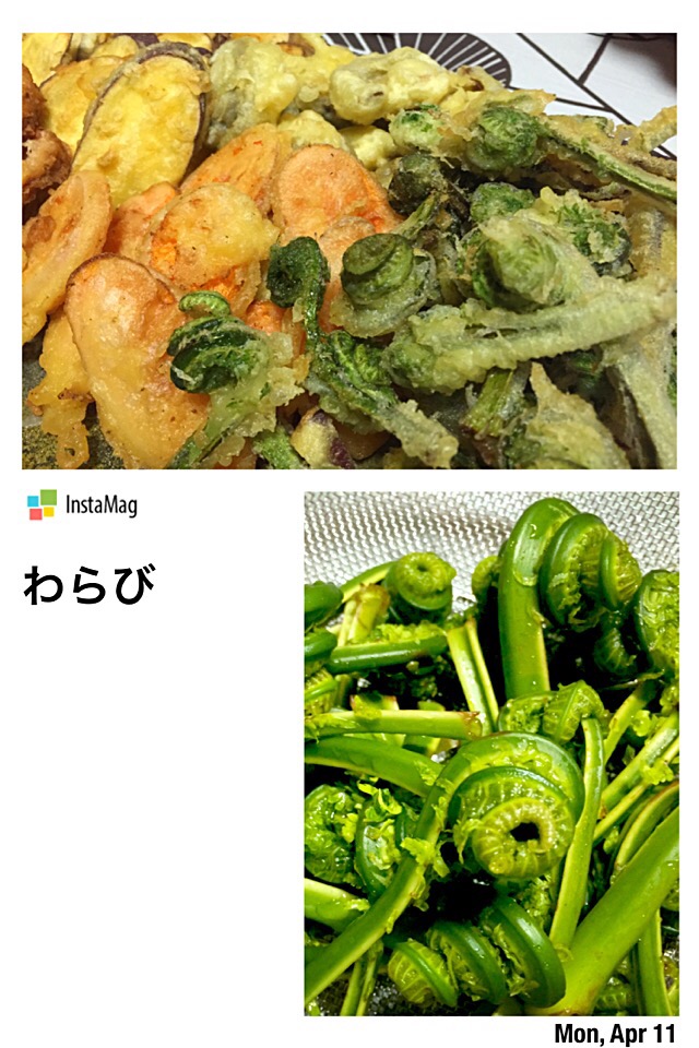 食べたい!わらびを使った天ぷらのレシピアイディア集