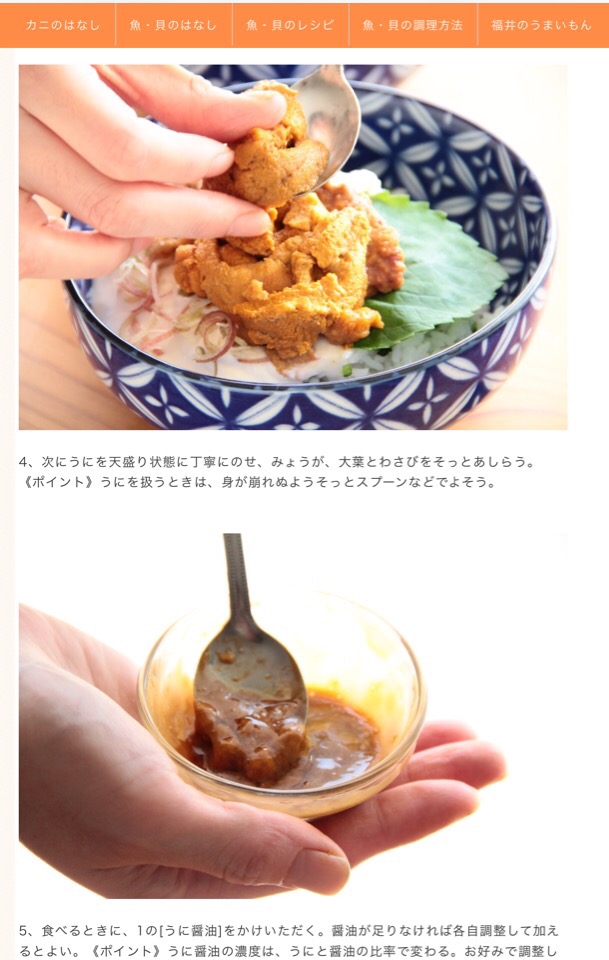 【作ってみた】豆腐とうにで作る料理、レシピ21のアイディア