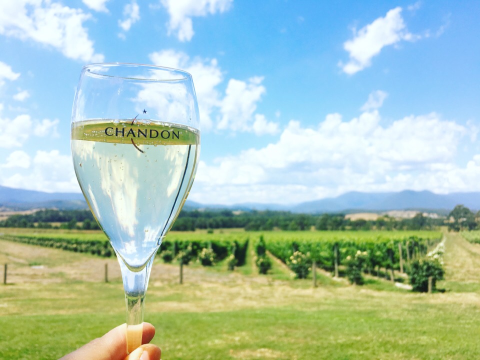 コスパ最強「オーストラリアワイン」産地別の特徴とおすすめ銘柄５選