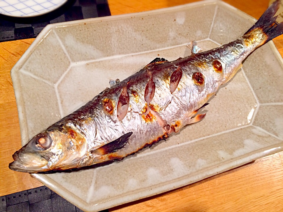 北海道の春告魚！旬の「ニシン」の見分け方と保存のコツ