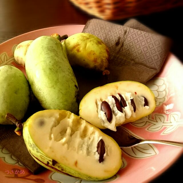 道の駅湖畔の里福富の野菜館で発見！森のカスタードクリームと呼ばれる幻の果物「ポポー」を買ってみた。, 60% OFF