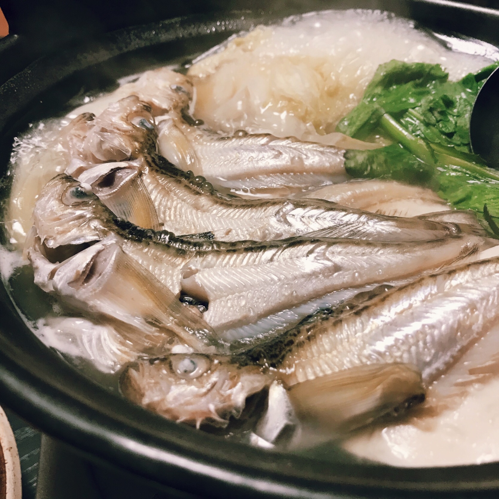 秋田名物 しょっつる鍋 とは お家で作る簡単レシピとおすすめ店 2ページ目 Macaroni