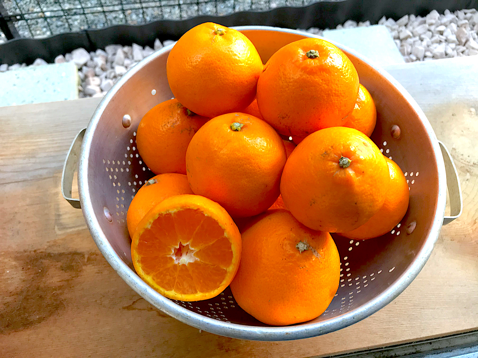 野菜ソムリエが解説「柑橘の種類」。味わいの違いも丸わかり！