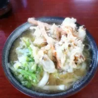 天ぷらうどん|るりすずめさん