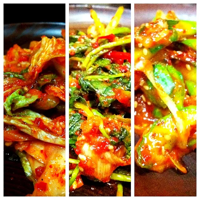 everything about KIMCHI|Yummy!!!さん