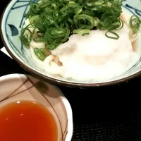 Snapdishの料理写真:讃岐うどん|nakaさん