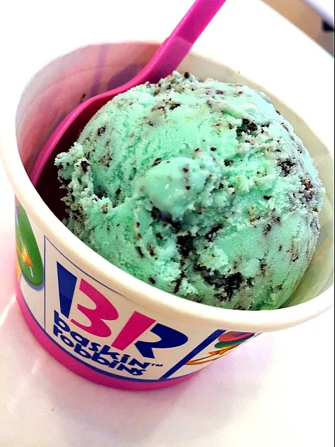 Mint Chocolate Chip Ice Cream|about.me/pinku_nekoさん