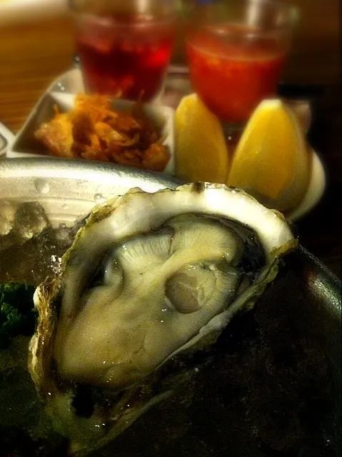 Kumamoto Oysters|about.me/pinku_nekoさん