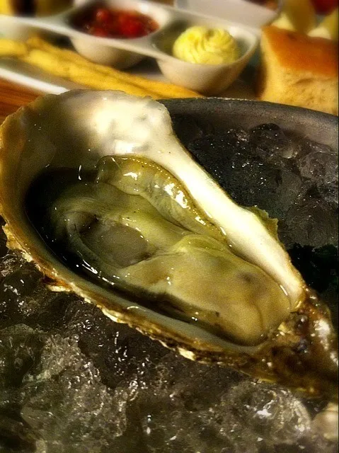 Fin de Claire Oysters|about.me/pinku_nekoさん