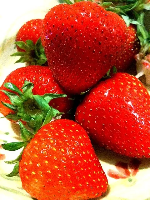 Costco Strawberry|Yuriさん