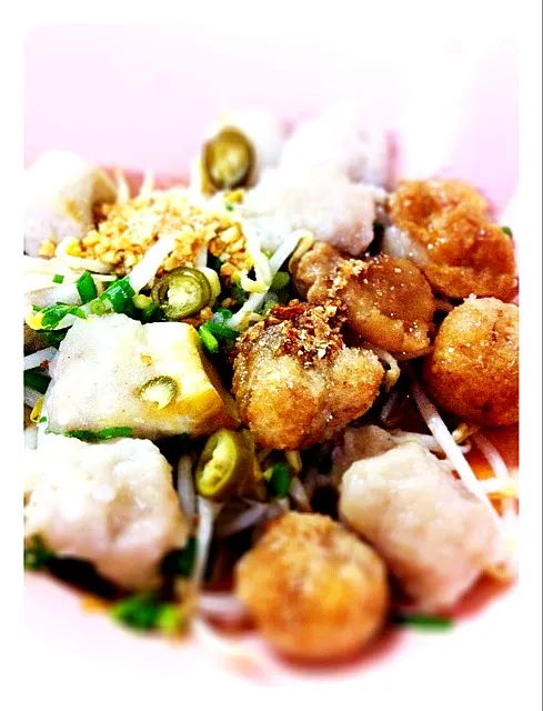 Noodle with Fish Balls|Samart Mektippachaiさん