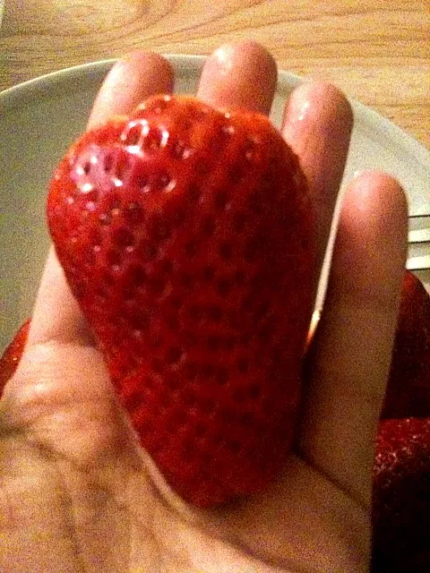 Snapdishの料理写真:British strawberry|tipfytipさん