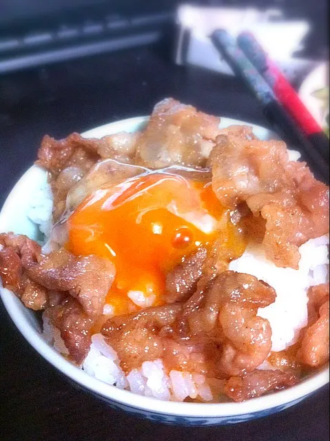 Snapdishの料理写真:なんだかよくわからないけど旨そう丼！！！|ichineiさん