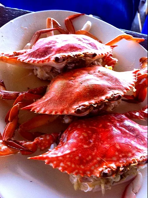 Snapdishの料理写真:fresh crabs from pattaya|ickさん