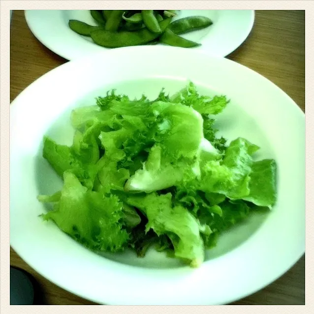 green salad|nubraveさん