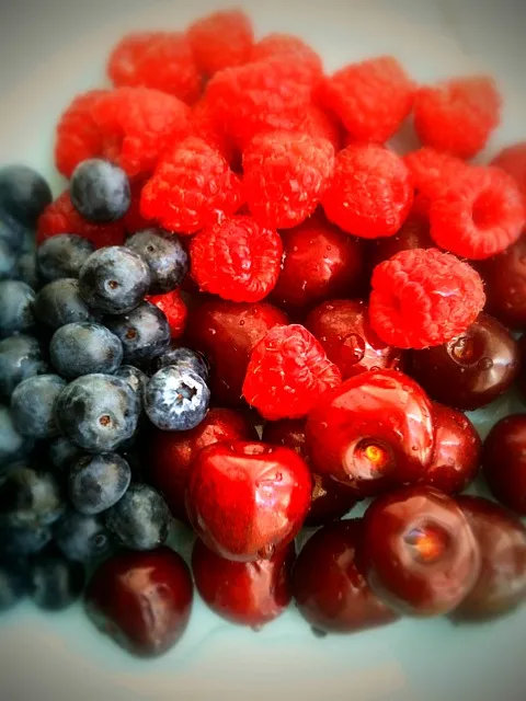 Blueberry, rasberry, cherry|tipfytipさん