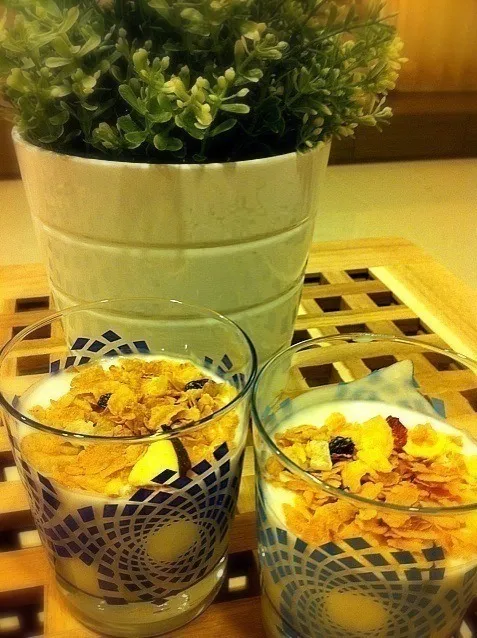 Homemade yogurt|tinabellachangさん