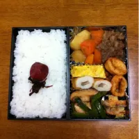 Snapdishの料理写真:肉じゃか弁当|すみママさん