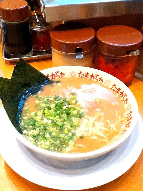 とんこつラーメン|向日葵@藤銀さん