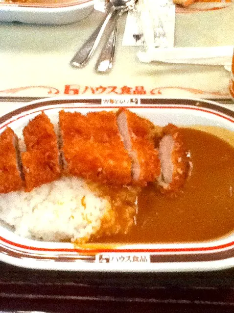 Snapdishの料理写真:ポークカツカレー|pochiwankojpさん