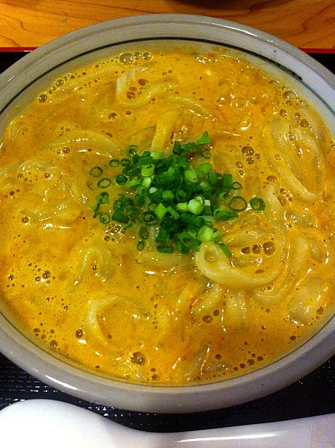 カレーうどん 大盛り|きよたさん