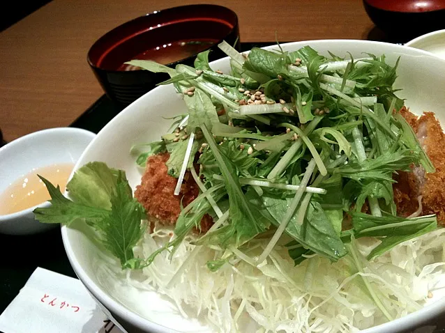 さっぱり塩かつ丼。レモン、ゆず、だいだい、かぼすの塩だれ。キャベツと水菜もたっぷり。|ミホ@なごやさん