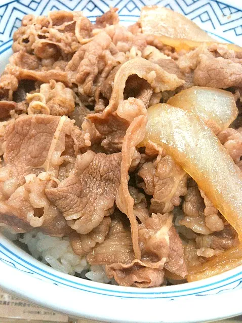 牛丼大盛り吉野家|かずさん