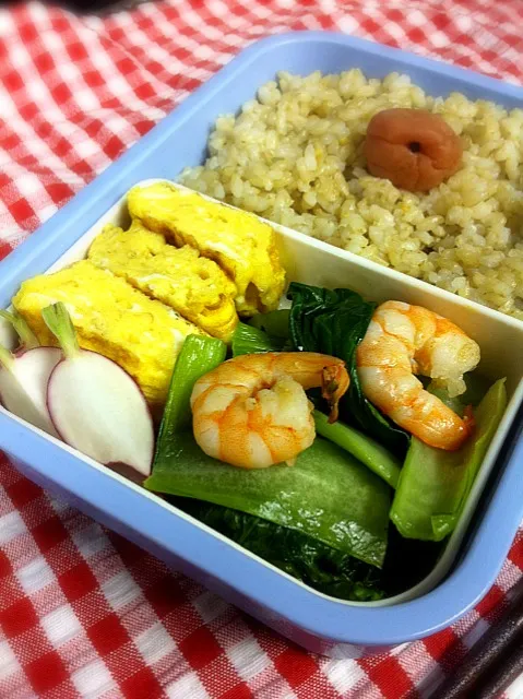 お弁当。青梗菜と海老の炒め物、卵焼き、ラディッシュ。ご飯は玄米。|liccaさん