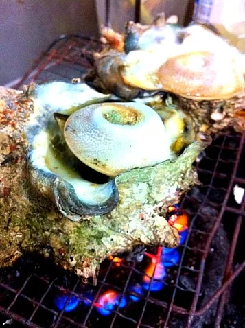 Snapdishの料理写真:伊豆七島 利島 活けサザエ|金子 雄介さん