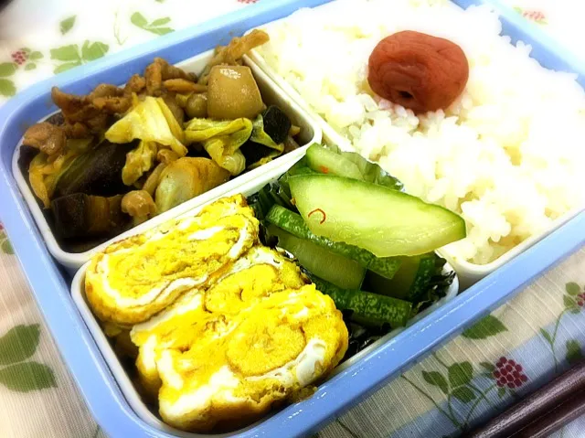 Snapdishの料理写真:お弁当。茄子とキャベツと豚肉の味噌炒め、卵焼き、かりもり瓜の浅漬け。個人的に、かりもりは夏の食卓の必需品。|liccaさん