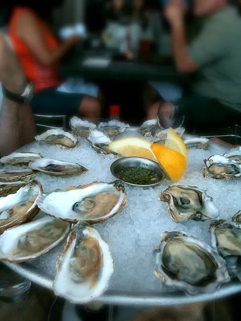 Oysters @ Hog Island|Tinaさん