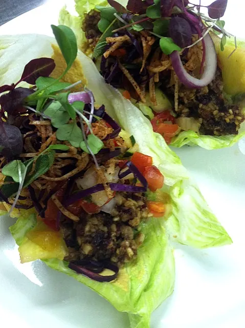 raw taco w/ walnut cranberry meat and jicama pineapple pico de gallo|GREG ARNOLDさん