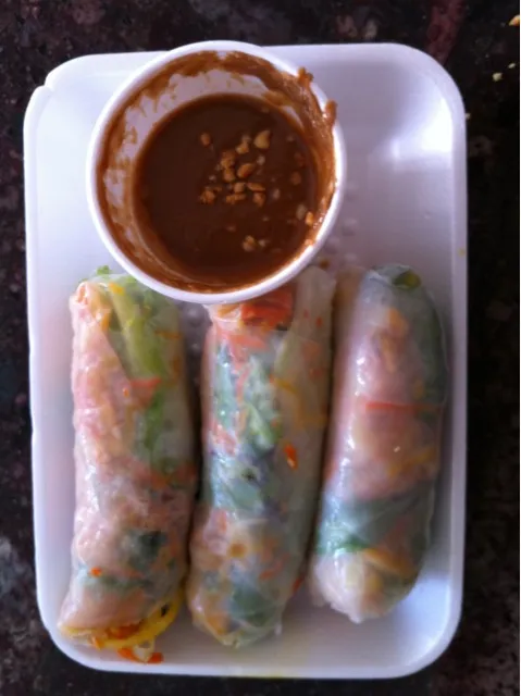 Vegetarian Spring Rolls|Matt Lewinさん