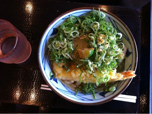 Prown Tempra Udon w/grated Daikon|Yumiko Hansenさん