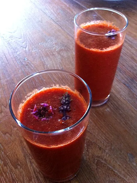 gaspacho raw food : tomato- cucumber-pepper-celery-garlic-ginger-coriander & Argan oil|Rene Onstenkさん