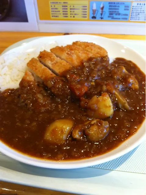 チキンカレー  トンカツトッピング|やなぼうさん