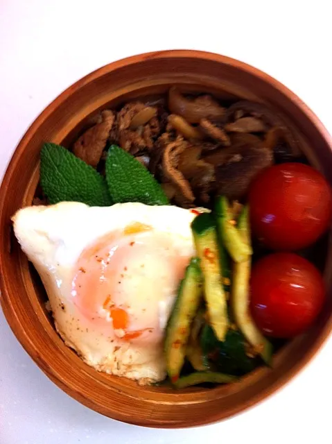 Pork ginger bowl,obento!|bonapetiteさん