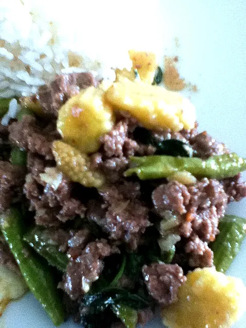 lunch: phad kha pow nua|Apple Kilgourさん