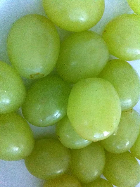 Grapes - healthy breakfast!|Amanda Hwangさん