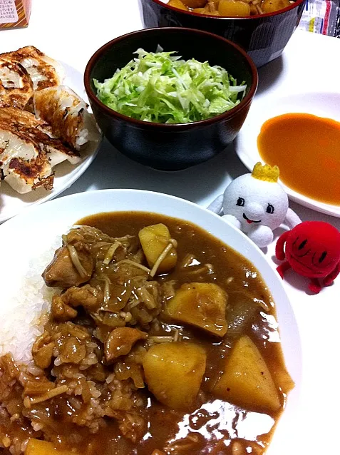 Snapdishの料理写真:カレーと餃子|ボビコさん