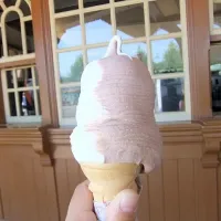 soft cream in WDW|溝上晴恵さん