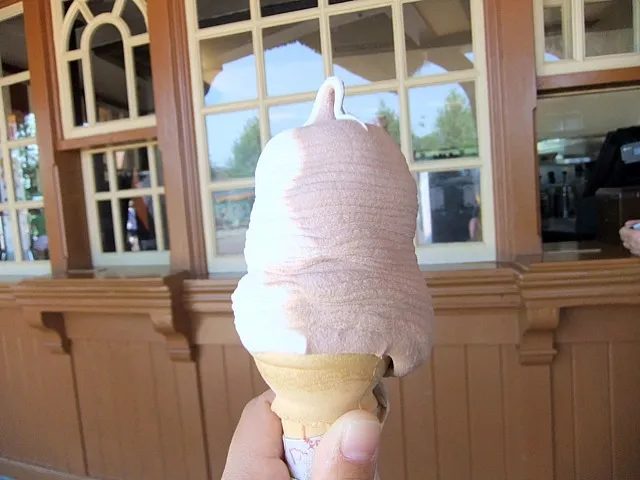 soft cream in WDW|溝上晴恵さん